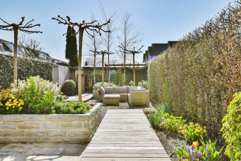 delightfully-beautiful-courtyard-with-greenery-2025-02-10-09-20-34-utc
